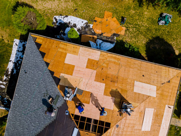 Quick and Trustworthy Emergency Roof Repair Services in Navasota, TX